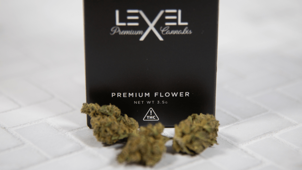 Popularity vs. Potency: What Really Drives Cannabis Shoppers?