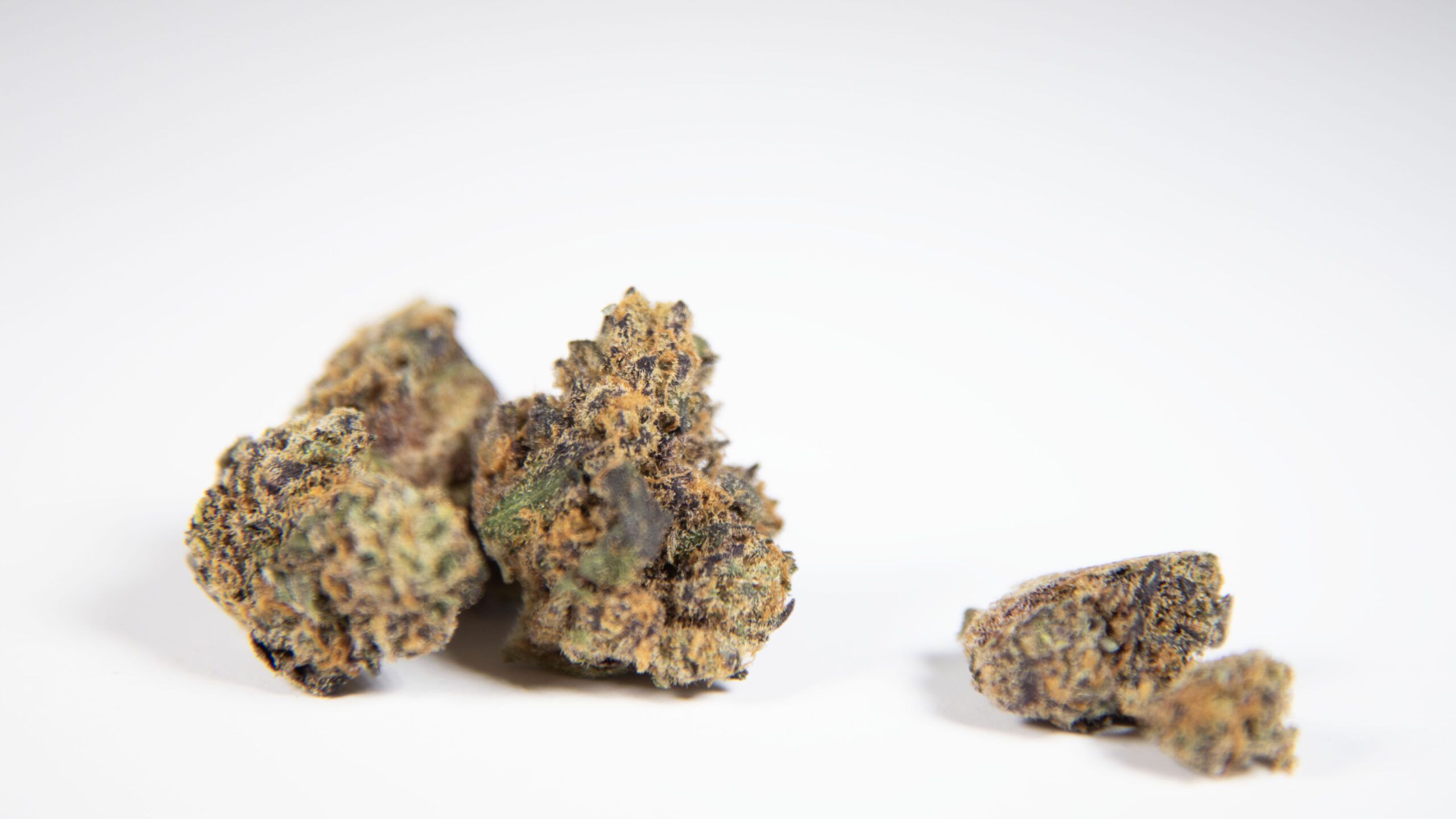 What Bud Color Reveals: A Guide to Pigments, Genetics, and Quality